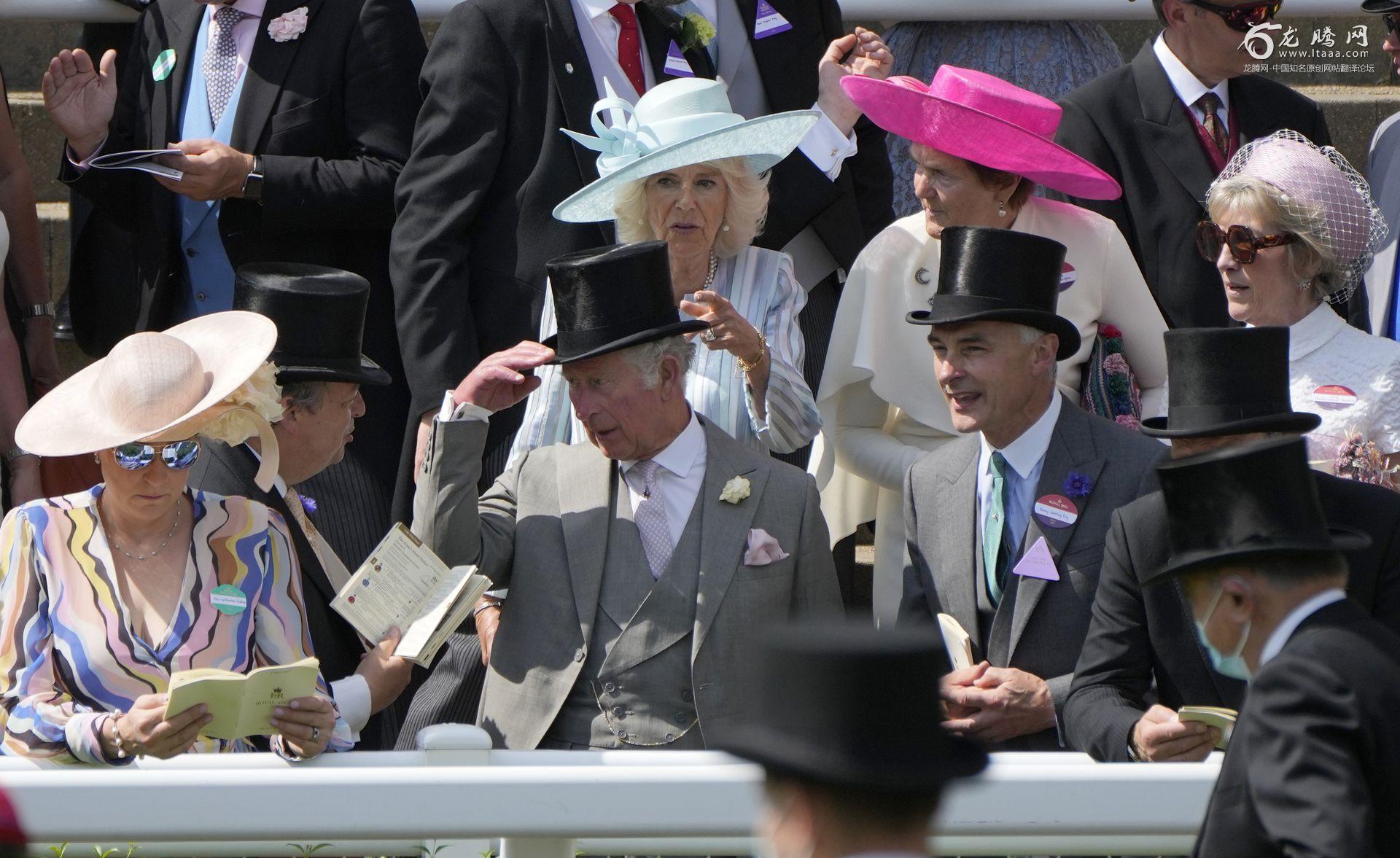 摄影组图：英国皇家阿斯科特赛马会上漂亮的帽子-搜狐大视野-搜狐新闻
