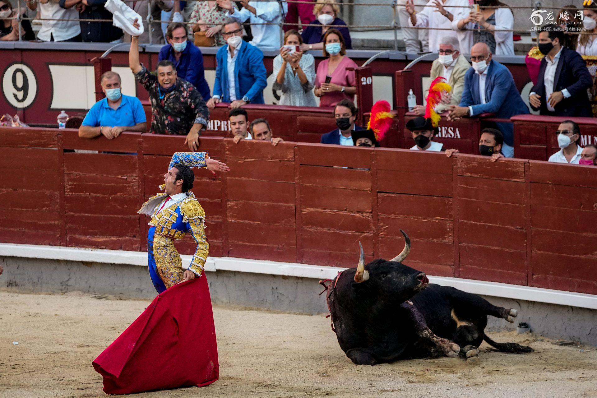 无法忘记的痛！西班牙斗牛士被牛顶的瞬间 | 探索网