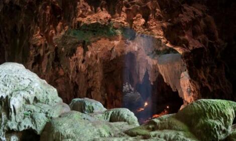 法国某洞穴中出土的一身体往地上猛颗小牙齿颠覆了我们对早期人类的认知